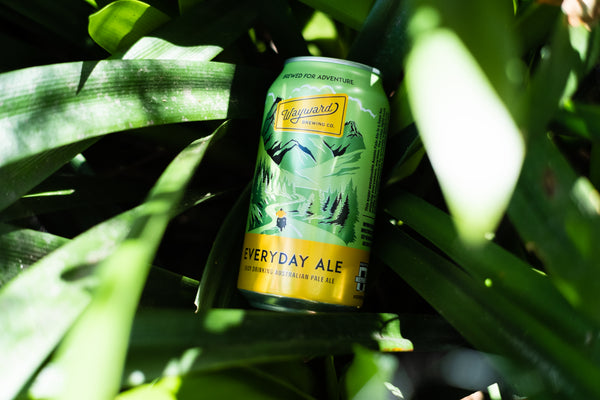 Everyday Ale can among palm leaves